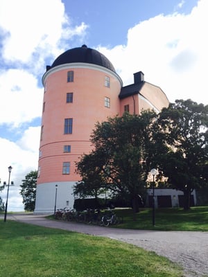 Uppsala Castle by null