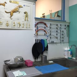 Clinica Veterinaria Portonaccio