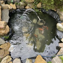Two Fish - After