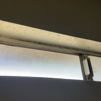 Lodi Property Management - Mold/mildew left when moved in - Property Management Near Me - Lodi, California