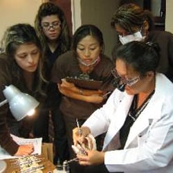J and Z Dental Rental and Clinical Seminars - Zena and her students critiquing/grading a mock exam typodont. [picture from her website]