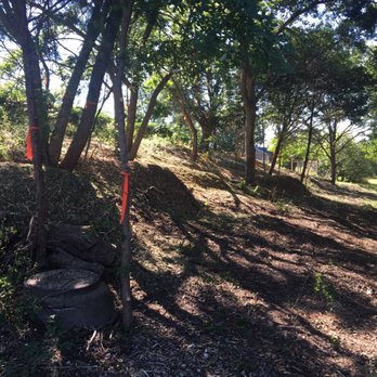 Chuy's Tree Service - After - Tree Services Near Me - Lorena, Texas