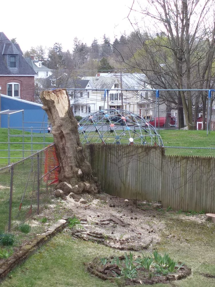 Slide of QUICK'S COMPLETE TREE SERVICE