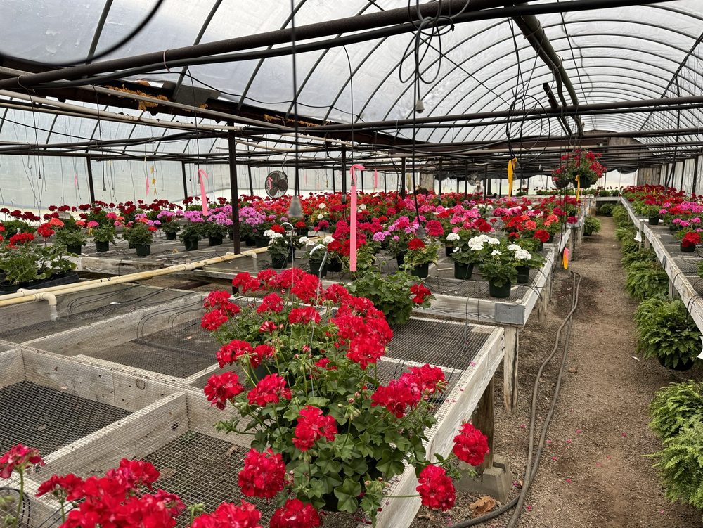 HARRIS NURSERY - Updated June 2026 - 10156 Martinsville Hwy, Danville