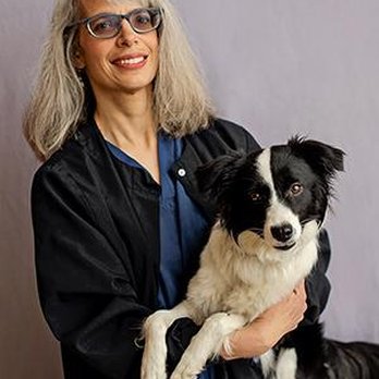 Emergency Veterinary Care Centers - Veterinarians Near Me - Mishawaka, Indiana Emergency Veterinary Care Centers - Veterinarians Near Me - Mishawaka, Indiana