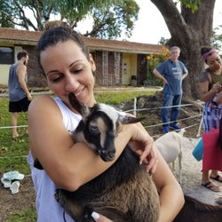 Downward Goat