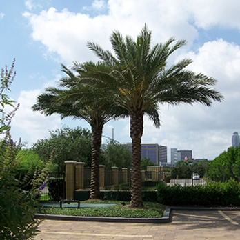 LHD Tree Service - Tree Services Near Me - Houston, Texas LHD Tree Service - Tree Services Near Me - Houston, Texas
