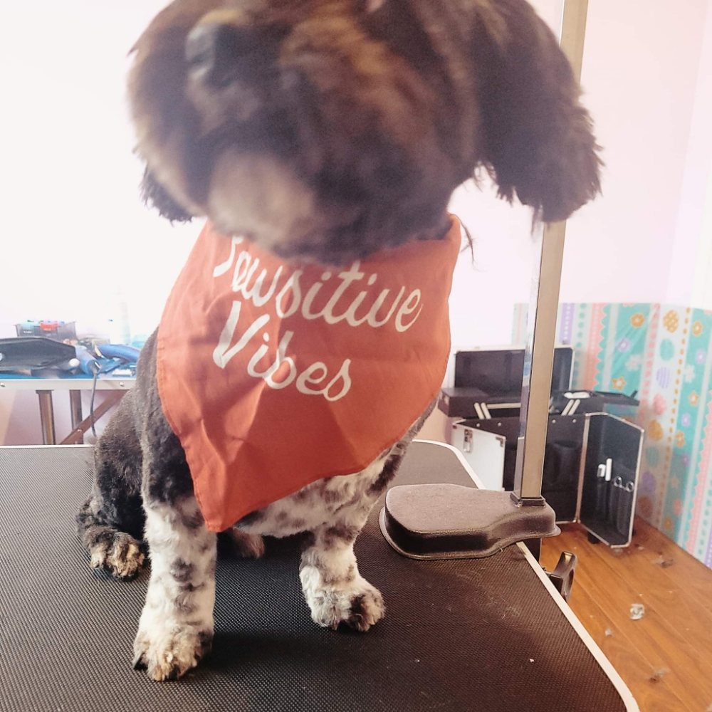 TY’S FURTIQUE Updated September 2024 17 Photos 8 Maple Drive