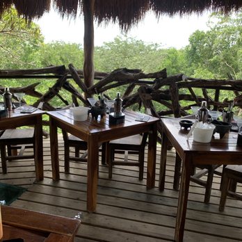 Selvatica - Mixology! - Ziplining Near Me - Puerto Morelos, ROO Selvatica - Mixology! - Ziplining Near Me - Puerto Morelos, ROO