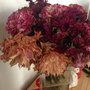 Photo of Matt Bisaro Floral Craftsman