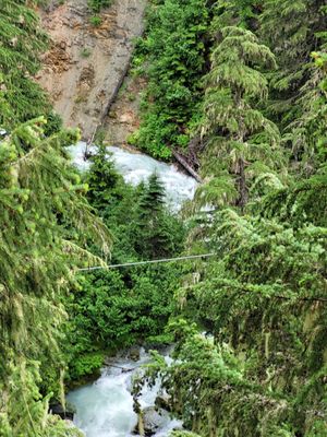 Ziptrek Ecotours by null