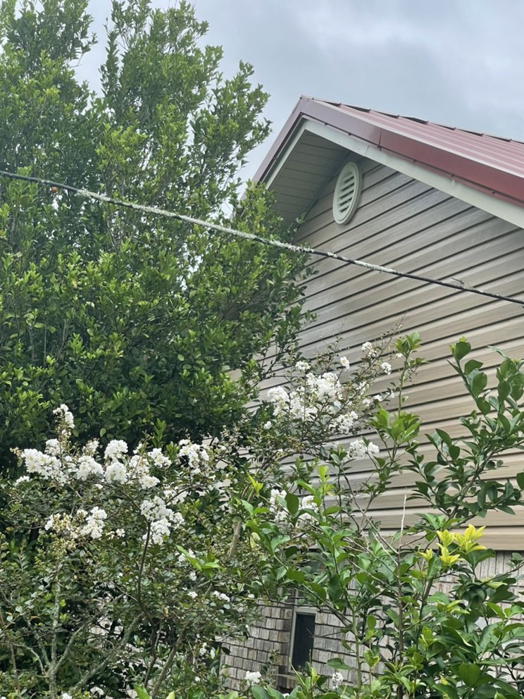 Slide of Taylor & Famlies Home repairs