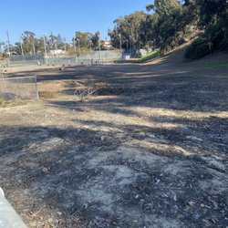 Eucalyptus Park