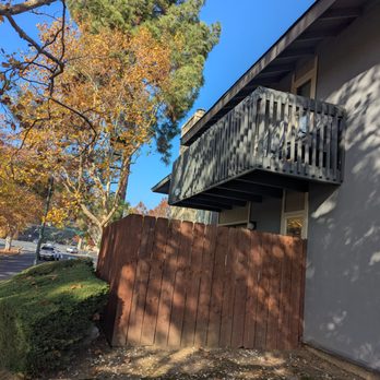 Heavenly Tree Service - Tree branches cleared back away from roof - Tree Services Near Me Heavenly Tree Service - Tree branches cleared back away from roof - Tree Services Near Me