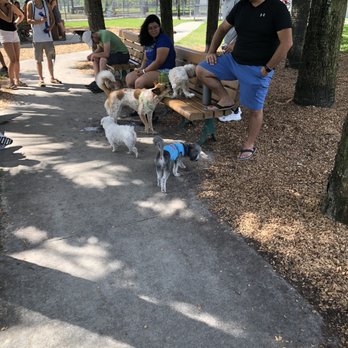 Okeeheelee Park - Dog park! - Parks Near Me - West Palm Beach, Florida Okeeheelee Park - Dog park! - Parks Near Me - West Palm Beach, Florida