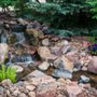 Photo of Purely Ponds & Waterfalls
