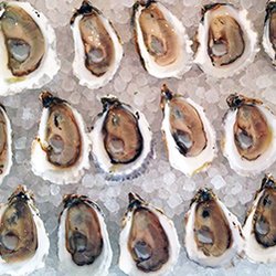 Chatham Fish & Lobster - Wellfleet oysters