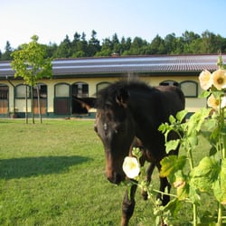 Tegelhof Rügen