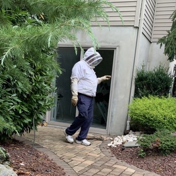 The Terminator Exterminator - Stan in full gear taking care of the yellow jacket bees. - Pest Control Near Me - Manalapan, New Jersey The Terminator Exterminator - Stan in full gear taking care of the yellow jacket bees. - Pest Control Near Me - Manalapan, New Jersey