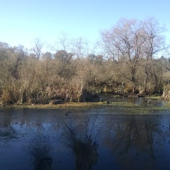 Beaver Lodge Sanctuary - Parks Near Me - Seattle, Washington