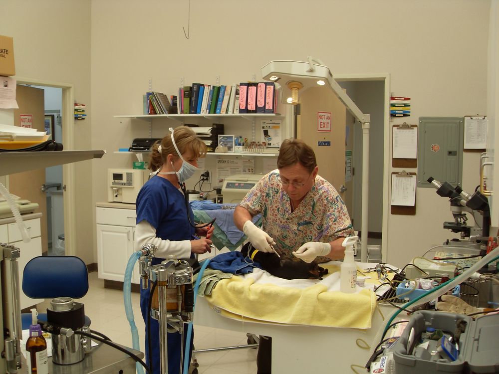 LOS LUNAS ANIMAL CLINIC 11 Photos & 14 Reviews 575 Hwy 314 NW, Los