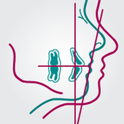 Northwest Oral and Maxillofacial Surgery Associates, PC