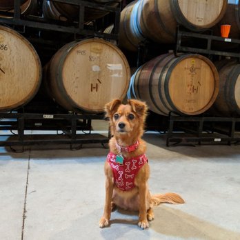 Hearst Ranch Winery - Barrel Room, Dog Friendly Winery - Wine Tours Near Me - Paso Robles, California