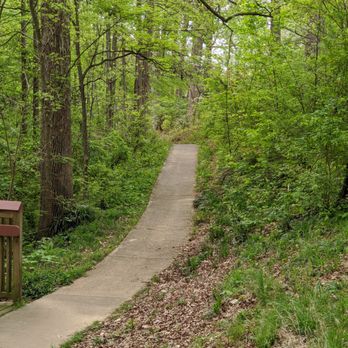 Shamrock Park - Shamrock Park, Charlotte - Parks Near Me - Charlotte, North Carolina Shamrock Park - Shamrock Park, Charlotte - Parks Near Me - Charlotte, North Carolina
