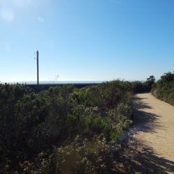 Viola Fields - Easy dirt path /trial