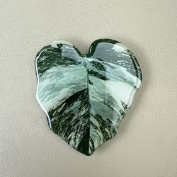 Mason Jar Plant Shop - Variegated Plant Magnet