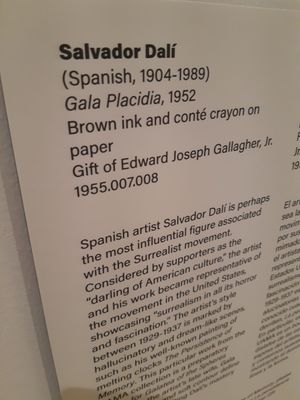 University of Arizona Museum of Art by null