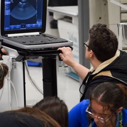 Mountain West Veterinary Specialists