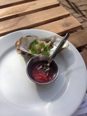 Mossel & Gin by null