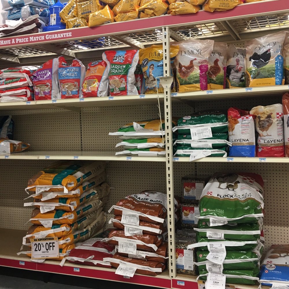 Tractor Supply - Animal feed - Pet Stores Near Me - Wappingers Falls, New York Tractor Supply - Animal feed - Pet Stores Near Me - Wappingers Falls, New York