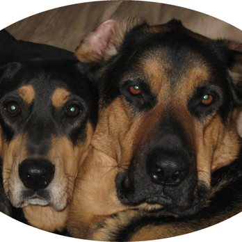 ZooKeepers Pet Sitting - Dog Walkers Near Me ZooKeepers Pet Sitting - Dog Walkers Near Me