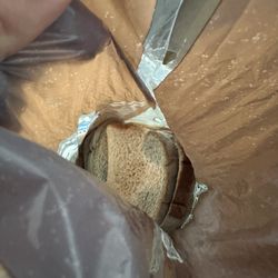 Angels Of Serenity Home Care - Moldy bread