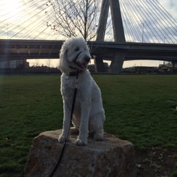 Awesome view of the bridge from here! Awesome view of the bridge from here!