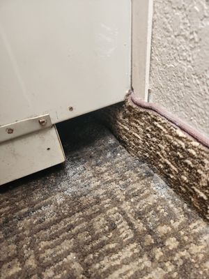 Comfort Suites Maingate East by null