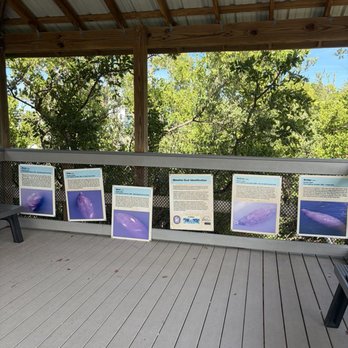 Manatee Viewing Center - Zoos Near Me - Apollo Beach, Florida