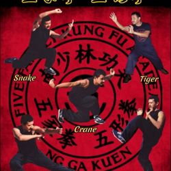 Five Family Kung Fu Academy - NG YING KUEN