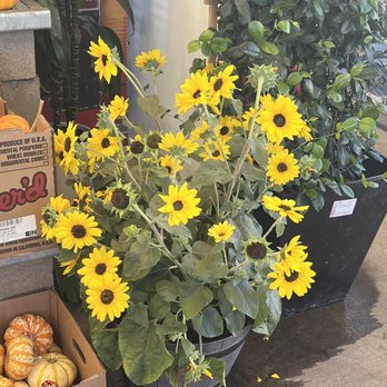 The Home Depot - Thinking of getting this! - Hardware Stores Near Me - Chino, California