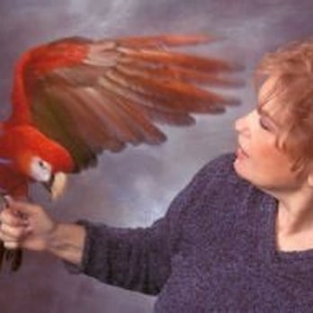 BiZee Bird Store - Sophie in Flight - Bird Shops Near Me - Beaverton, Oregon BiZee Bird Store - Sophie in Flight - Bird Shops Near Me - Beaverton, Oregon