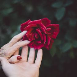 Renton Divine Home Care