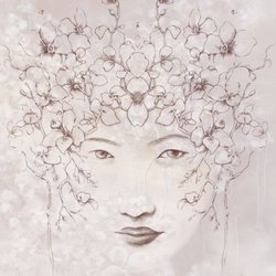 Sarah Intuition