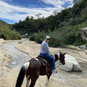Cuadra San Alberto - Arroyo by the fruit farms of San Bartol - Horseback Riding Near Me - Los Barriles, BCS
