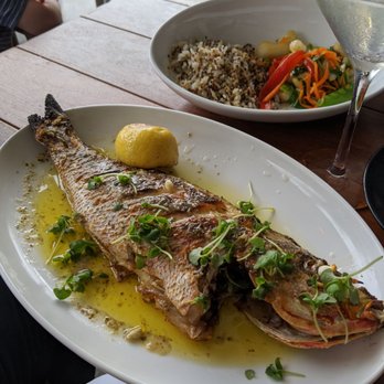 Oceanic - Grilled whole fish! - Seafood Near Me - Pompano Beach, Florida Oceanic - Grilled whole fish! - Seafood Near Me - Pompano Beach, Florida