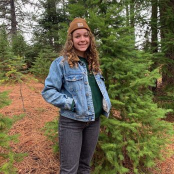 Twin Pines Christmas Tree Farm - Best tree farm - Christmas Trees Near Me - Georgetown, California Twin Pines Christmas Tree Farm - Best tree farm - Christmas Trees Near Me - Georgetown, California