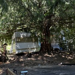 Everett Auto & Junk Car Removal - Here we helped the new owners of this property remove this old camper/trailer that came with the property in Snohomish, Washington.