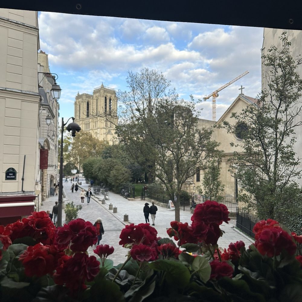 Odette - View from upstairs - Tea Rooms Near Me - Paris, 75