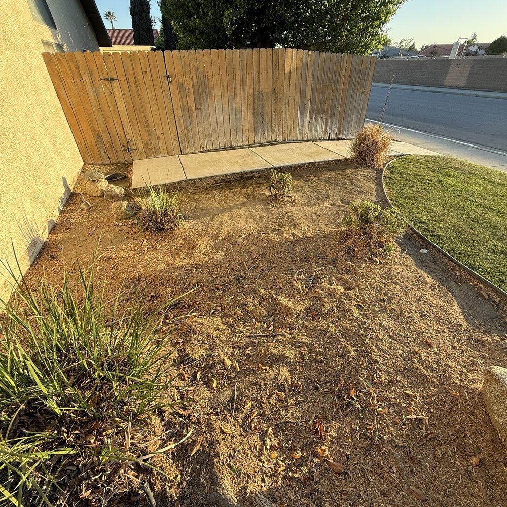 American Willow Tree Service - Great job removing and grinding a large tree. - Tree Services Near Me - Bakersfield, California